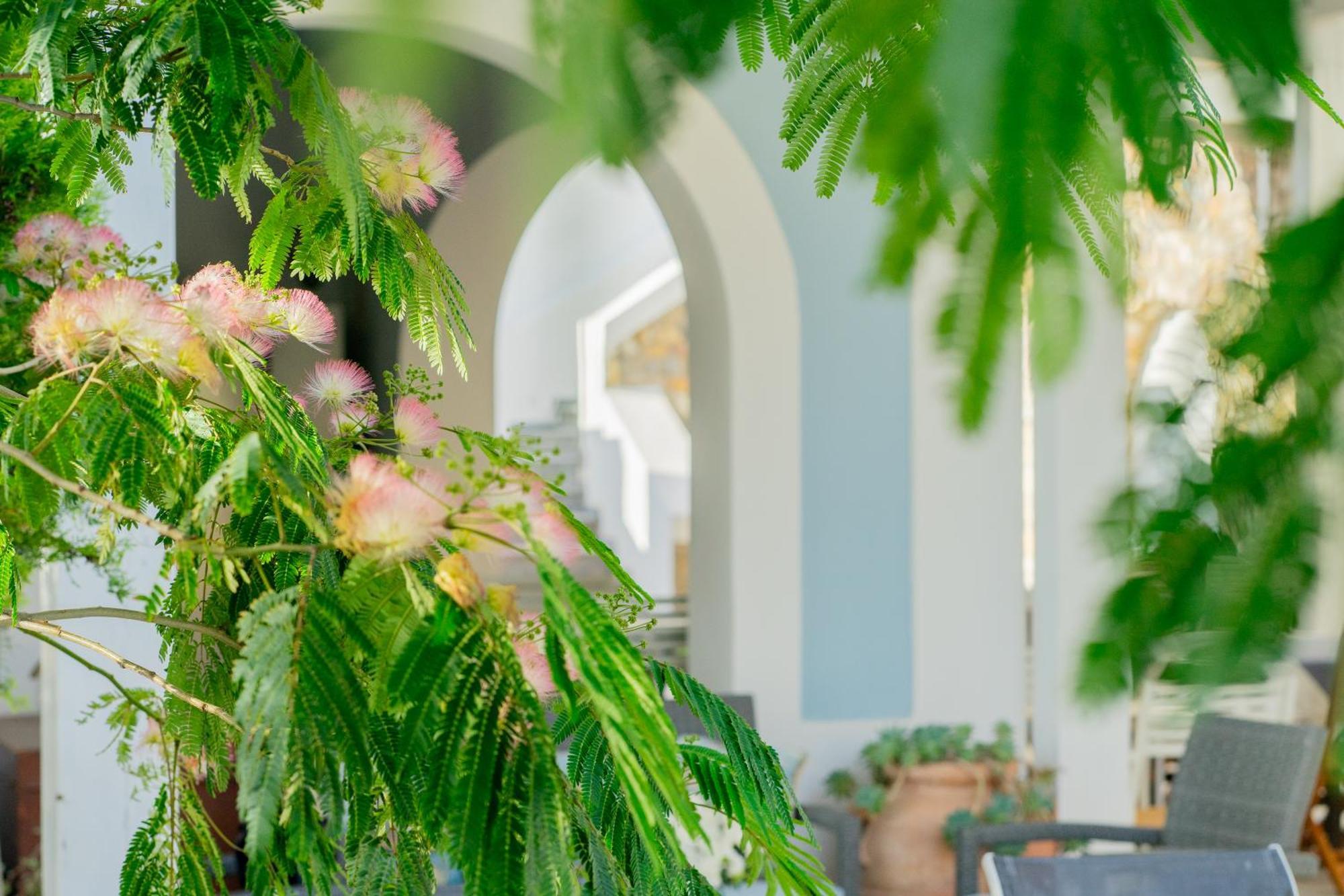 Villa Acacia Ponza Eksteriør billede